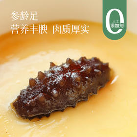 【2件减40元】鲜食大连海参  免泡发 嚼劲十足 腥味少