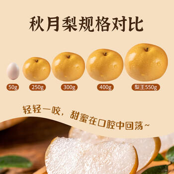 京鲜生 长城羊脂秋月梨 7斤装 超大果6-8粒 单果400g+ 生鲜水果礼盒 商品图5
