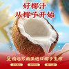 轻上0糖生椰椰汁椰奶生椰植物蛋白饮料220ml 商品缩略图7