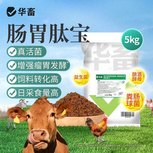 华畜健胃肽兽用牛羊真活菌增强瘤胃发酵提高采食量促生长补营养 商品图0