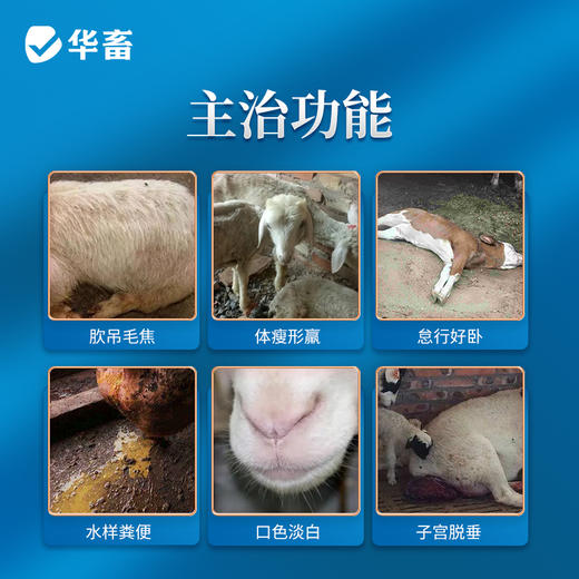 华畜补中益气散500g 脾胃气虚久泻脱肛 母畜产后用 商品图1