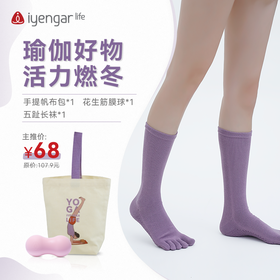 艾扬格life  秋冬季瑜伽习练套餐（手提帆布包*1 筋膜花生球*1 防滑瑜伽袜子1双）