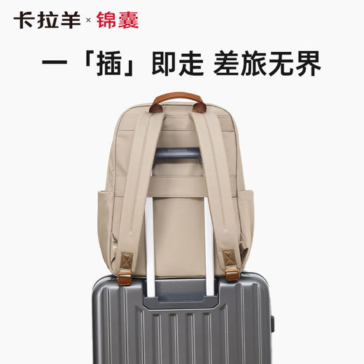 卡拉羊X锦囊商务电脑防盗背包20升出差通勤多功能双肩包睿行CN5224 商品图4