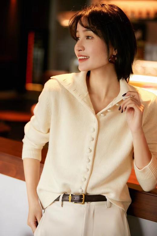 F010703冬季新款松软羊毛可立领可翻领纽扣针织开衫毛衣 商品图1