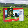 【礼盒装】纽仕兰新西兰进口4.0全脂草饲纯牛奶250ml*10支新年礼盒 商品缩略图8