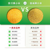 千年谷源敖汉有机黄小米5斤金苗K1月子小米杂粮辅食蒸饭更软糯过年送礼 /粮油调味 /杂粮 /谷米类 商品缩略图4