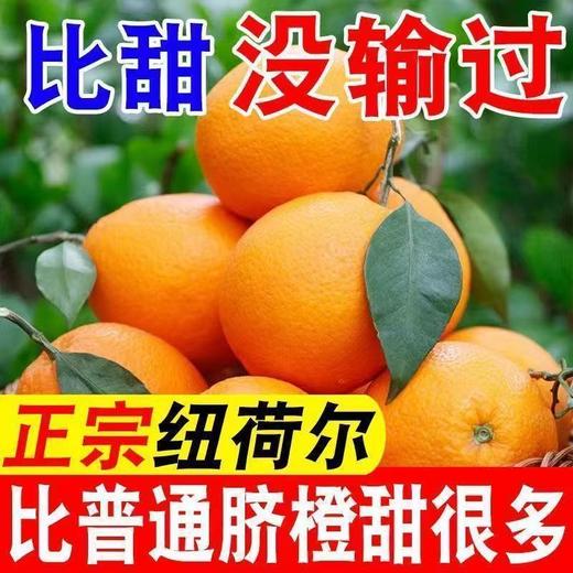 【秒杀❗29.9抢9斤🔥正宗纽荷尔脐橙】甜蜜多汁，徒手轻捏就能榨出汁，营养丰富！新鲜橘子当季整箱手剥橙子现摘，非沃柑砂糖橘整箱包邮，2026马年春节新年货礼物L 商品图0