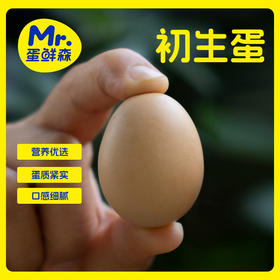 一年只卖一个月 限量2000盒 蛋鲜森金奖无抗初生蛋 蛋鲜森可生食土鸡蛋 顺丰/京东发