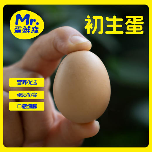 一年只卖一个月 限量2000盒 蛋鲜森金奖无抗初生蛋 蛋鲜森可生食土鸡蛋 顺丰/京东发 商品图0