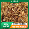 野生牛奶根 | 浓浓牛奶味  煲汤极佳｜合作生产 * Wild milk root 商品缩略图0
