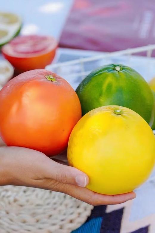 福建三色柚（翡翠葡萄柚、黄金葡萄柚、西柚）酸甜可口高VC 商品图1