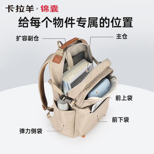 卡拉羊X锦囊商务电脑防盗背包27升出差通勤多功能双肩包睿行CN5228 商品图2
