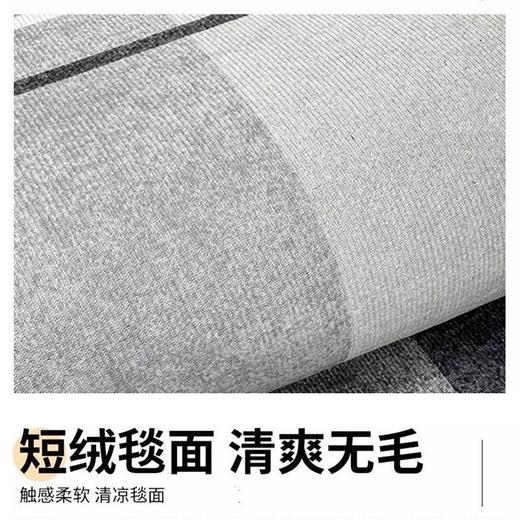 简约入户地垫灰色玄关垫耐脏易打理除尘垫子进门门垫家用地毯 商品图3