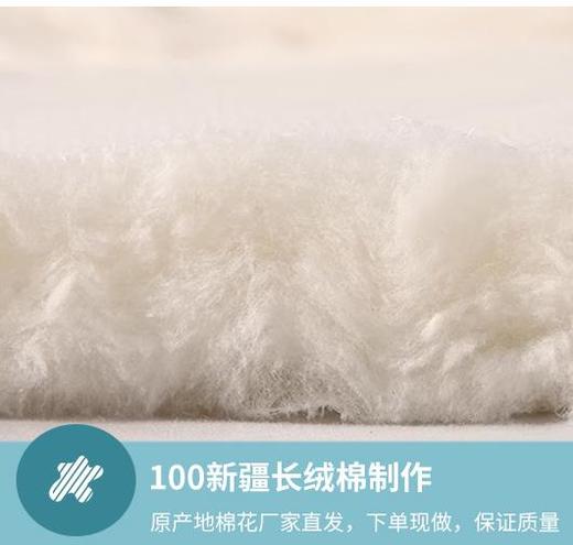 【工厂直销】新疆棉被，100%南疆手采棉制作，蓬松柔软、蓄热保暖，新疆原产地直发 商品图1