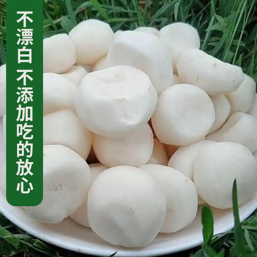 【厂商直发】广西有机鲜马蹄荸荠带皮去皮白马蹄清甜多汁新鲜包邮 商品图7