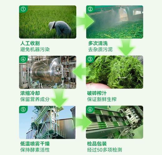 【日本原装进口】Liam天然麦绿素胶囊 商品图2