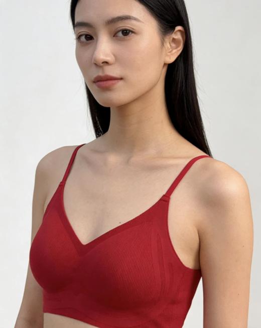 F010768秋冬新款亲肤磨毛面料女士美背文胸内衣 商品图4