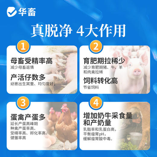 华畜真脱净600g 脱霉净复合酶降解多种毒素不破坏饲料营养 孕畜可用可兑水 商品图6