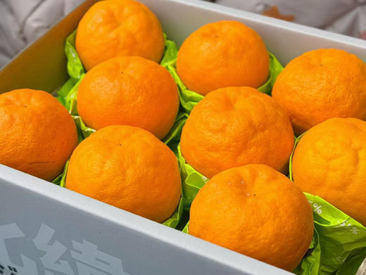 春见🧐又到一年甜蜜春见时刻🍊——春见耙耙柑一直做顶尖🍊的领头羊口感自然是没的说[色]超完美💯 商品图8