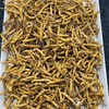 【阴阳双补❗️养生调和】藏姑娘虫草干货冬虫夏草一级草冻干西藏那曲。jc 商品缩略图1