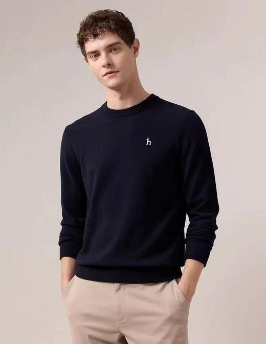 F010711男士羊毛衫2025秋冬季新款纯色圆领针织衫 商品图2