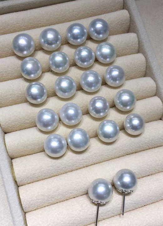 【私席真珠·新年盛宴】一口价·11-12mm澳白馒头 S925银镶澳白珍珠耳针 商品图1