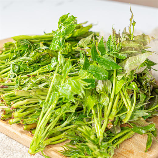 【陕西高山香椿】现摘现发，苔芽粗壮鲜嫩， 商品图2