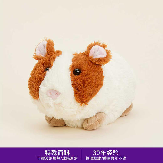 英国warmies 荷兰猪安抚玩偶公仔送礼毛绒可加热抱枕 商品图1