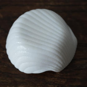 法国Arcopal弓箭手奶玻璃贝壳碟 保存品 X1450