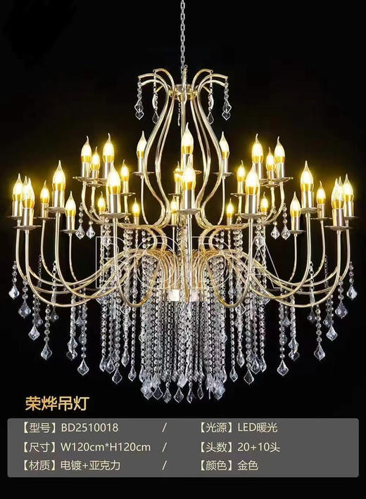 荣烨吊灯（运费自理） 商品图0