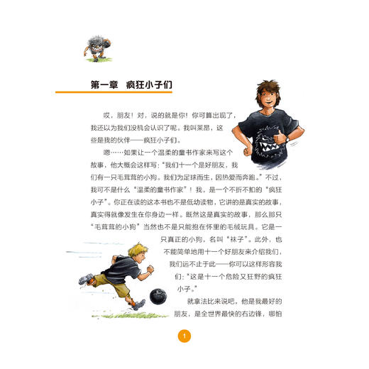 《疯狂足球队》（全4册） 商品图5