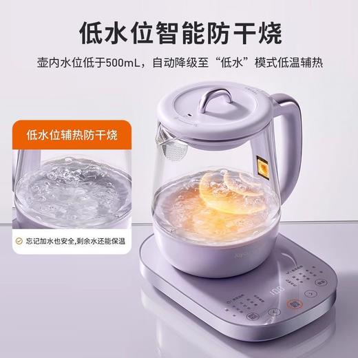 九阳全玻璃沸萃养生壶1.5L炖煮一体办公室烧水壶电热花茶壶煮茶器 商品图11