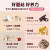 【儿童成长菌菇汤】在菌屋 家有儿童汤料包50g*5包/盒 自然温养配方 鲜甜营养 商品缩略图2