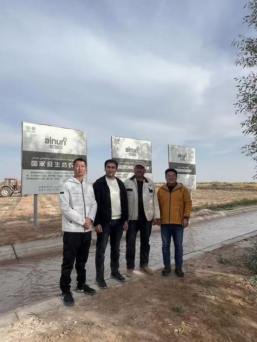 【新疆有机面粉】低速低温低压研磨技术 高筋粉 麦香浓郁  细腻劲道    5斤/袋 商品图1