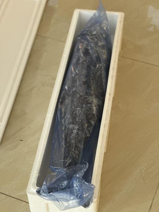 深海野生马鲛鱼/深海钓带鱼丨渤海湾，刺少肉多，细嫩洁白，糯软鲜爽，送礼佳品，切块可备注⭐️京东陆运 商品图5