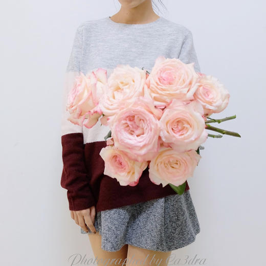 肯尼亚进口玫瑰花JOYCE乔伊斯12支 商品图1