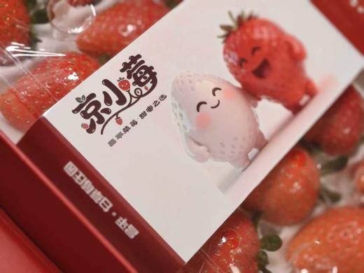 【京小莓·草莓】惊喜上线，圣诞红草莓-2-2.5斤/礼盒装-3小盒45枚大果，果香浓郁，甜度高 商品图0