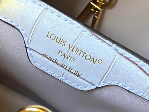 秋冬特惠💰1530 渠道级LV 新品 te级LV N93163/M48865流金尼罗鳄鱼纹 商品图6