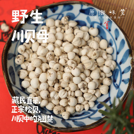 野生川贝母（成都仓库-顺丰快递）| 18g，38g，来自四川阿坝，生产者：松潘藏民【合作生产，公平贸易】 商品图0