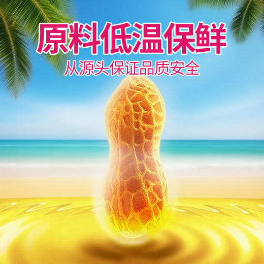 广东省国资国企帮扶臻品 徐闻县新寮岛红衣花生油 1L装 商品图2