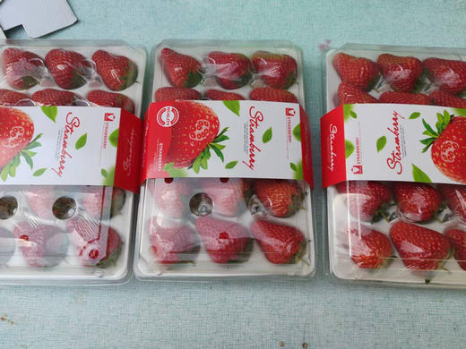 好吃的草莓。一箱三盒 京津冀包邮。其它地址顺丰快递到付 商品图7