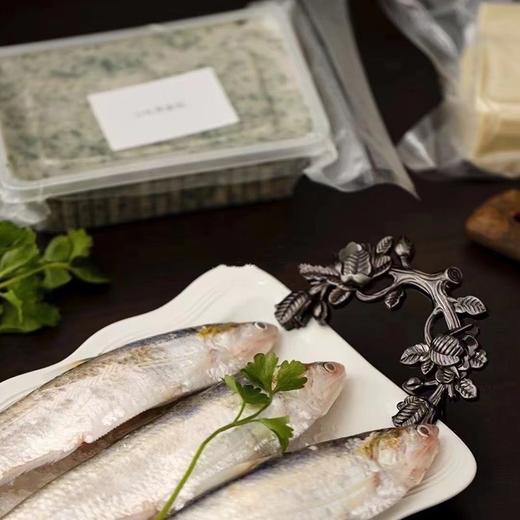 时鲜【下单就送！手工馄饨皮】江阴特色纯手工刀鱼馄饨馅 当日现做现发 无添加纯手工制作 刀鱼比例高达80%【需自己包】 商品图10