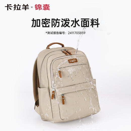 卡拉羊X锦囊商务电脑防盗背包20升出差通勤多功能双肩包睿行CN5224 商品图5