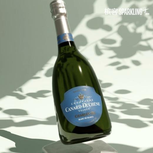 Canard-Duchêne Charles VII Blanc de Blancs 希帝查理七世白中白香槟 商品图9