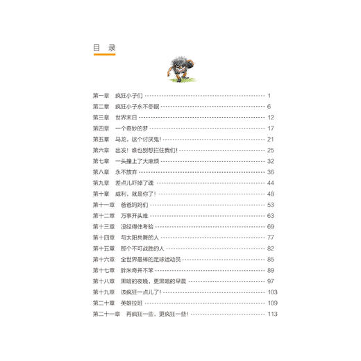 《疯狂足球队》（全4册） 商品图2