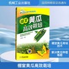 棚室黄瓜高效栽培 商品缩略图0