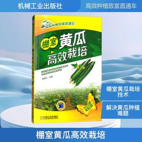 棚室黄瓜高效栽培
