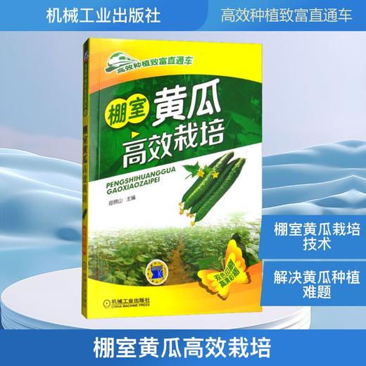 棚室黄瓜高效栽培 商品图0