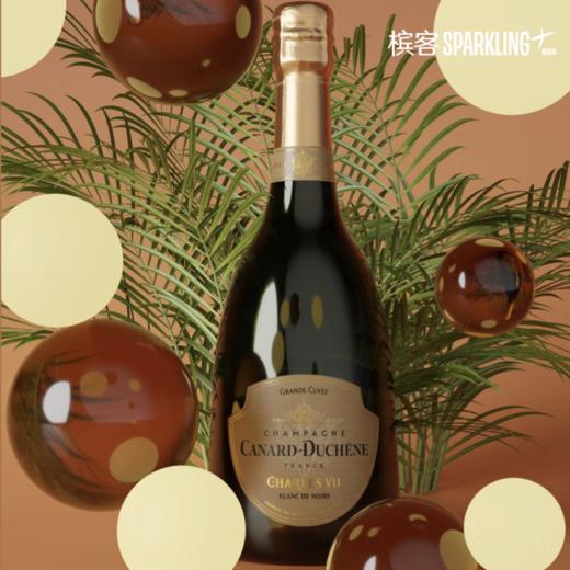 Canard-Duchêne Charles VIi Blanc de Noir  希帝查理七世黑中白香槟 商品图5