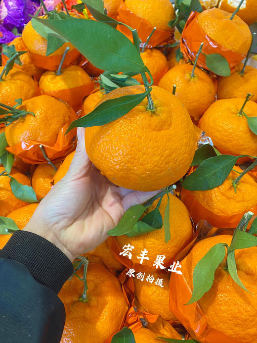 宏丰精选，甘平柑橘，柑橘界的“甜蜜女王”。活动价12.8元一斤 商品图4